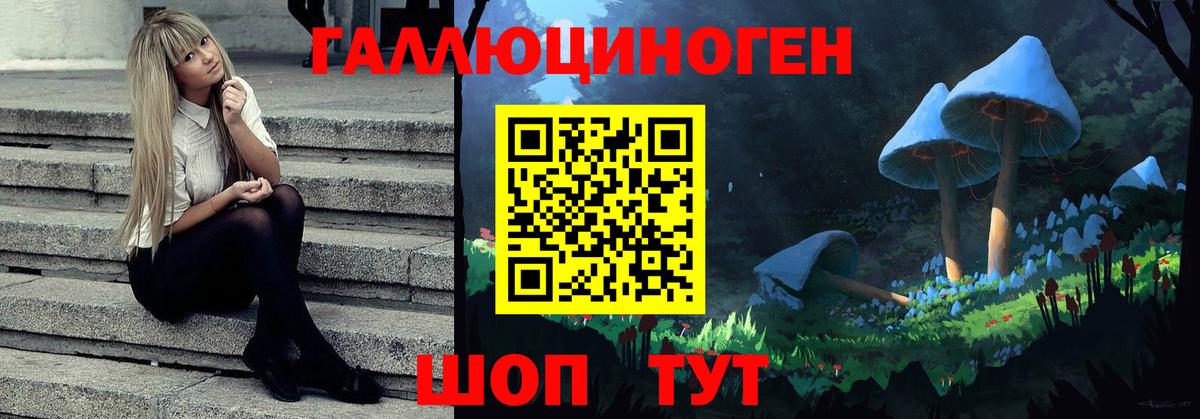 Псилоцибиновые грибы Psilocybine cubensis Курган
